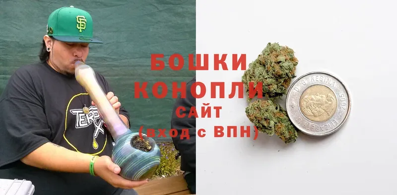 мега   Электрогорск  Шишки марихуана Ganja  где купить наркоту 